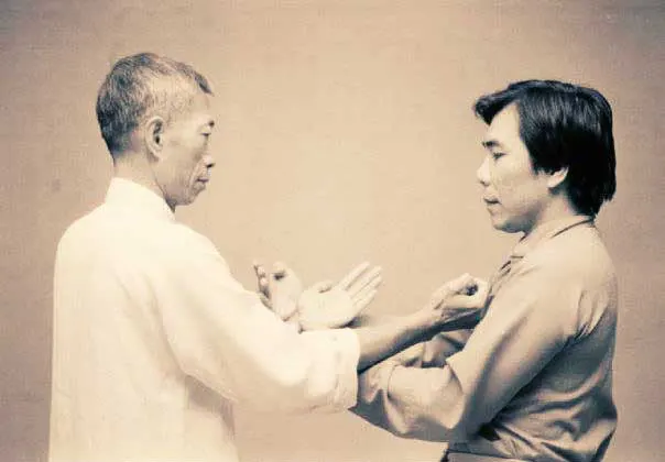 chi sau wing chun