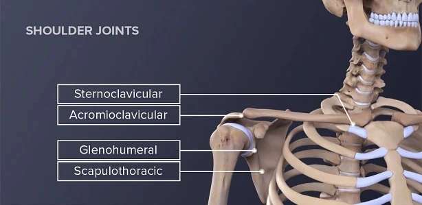 wing chun classes frenchs forest